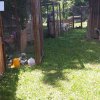 Sommerfest 2016